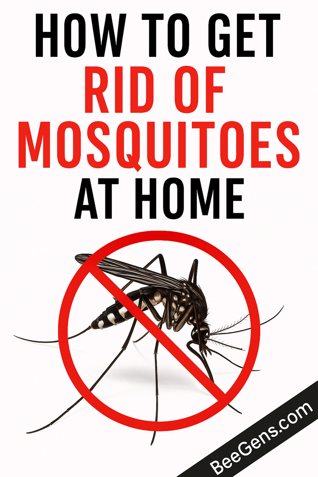 Get Rid of Mosquitoes